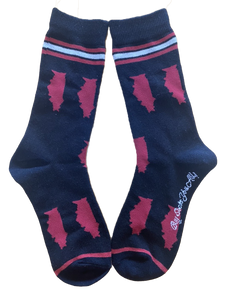 Illinois Shapes in Red and Black Women's Socks