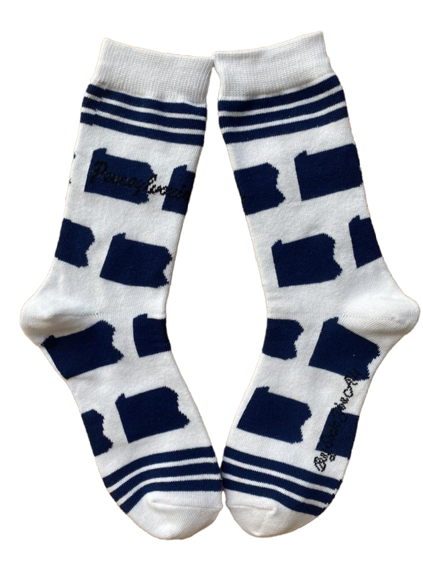 Pennsylvania Shapes in Blue and White Women's Sock