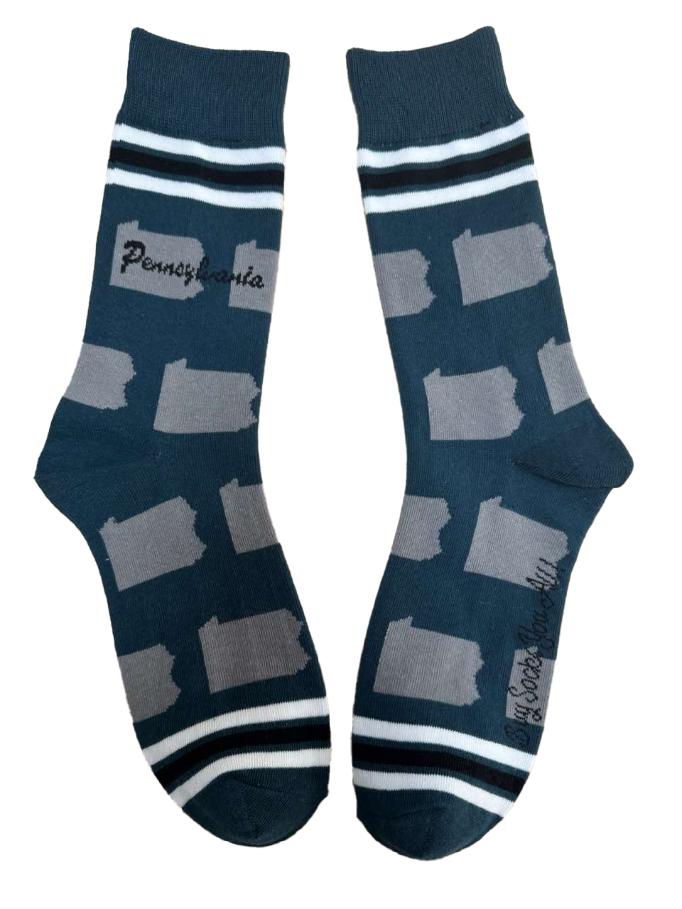 Pennsylvania Shapes in Teal and Silver Men's Socks