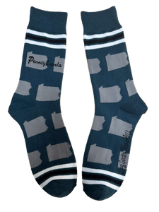 Pennsylvania Shapes in Teal and Silver Men's Socks