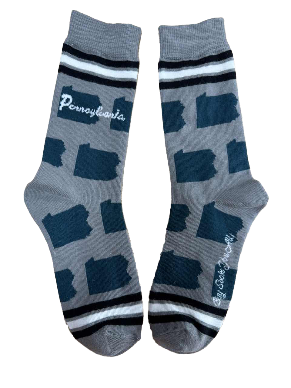 Pennsylvania Shapes in Teal and Silver Women's Socks