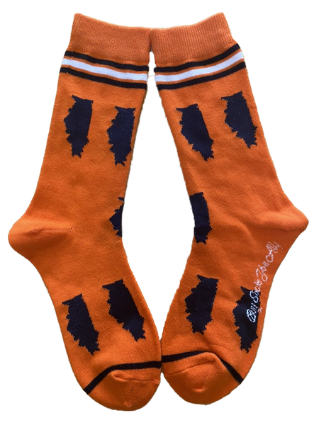 Illinois Shapes in Blue and Orange Women's Socks