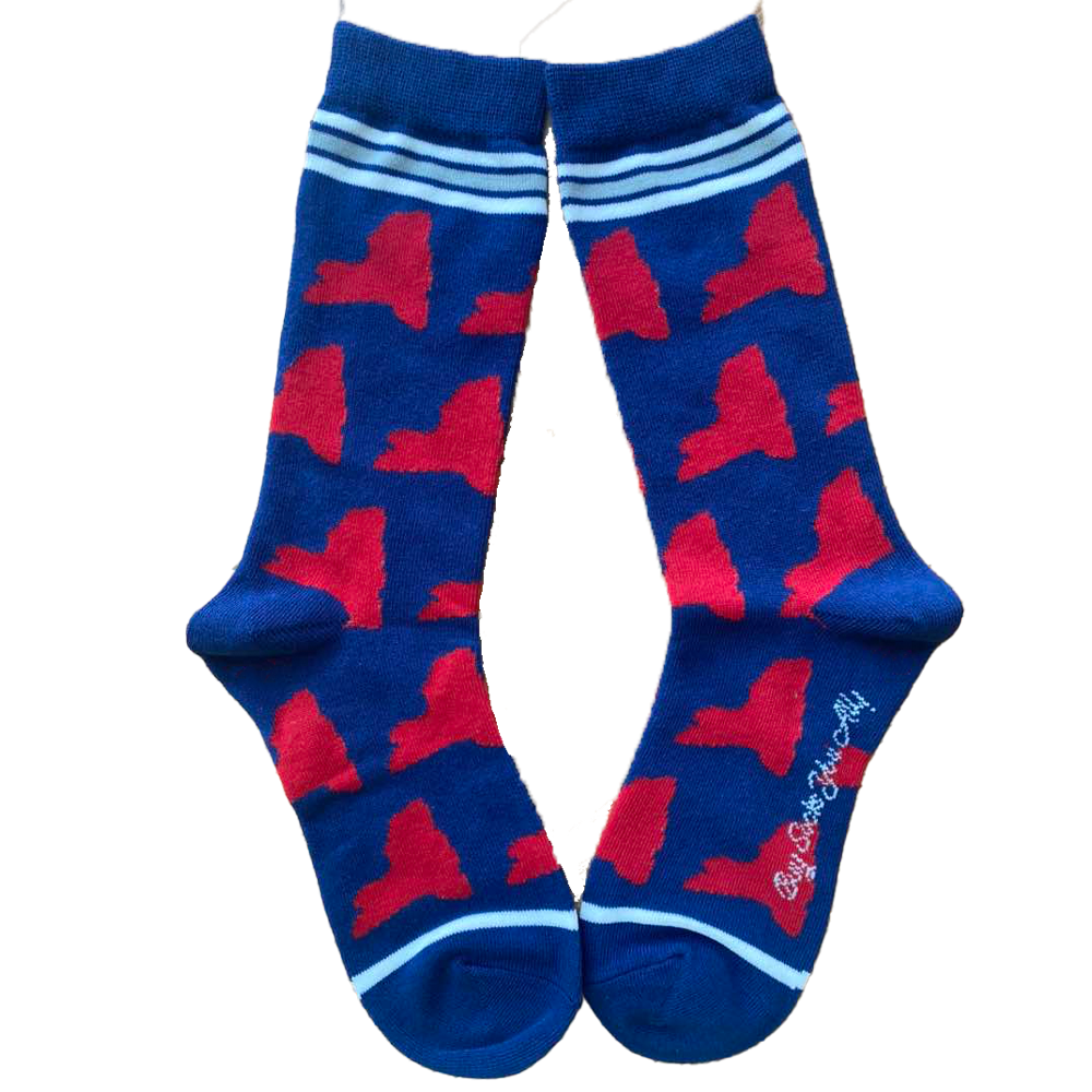 New York Shapes in Blue and Red Women's Socks